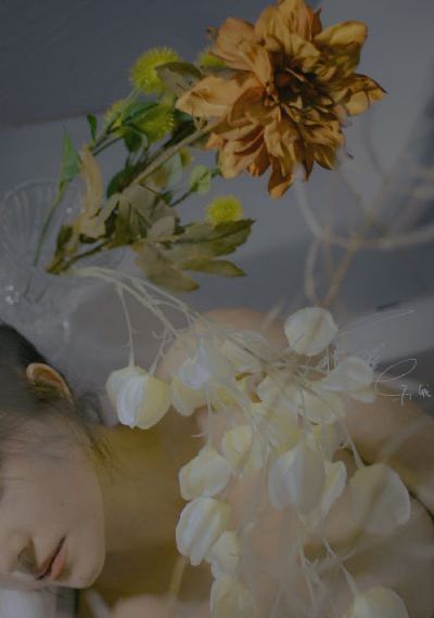 午夜国产美女_高清在线播放观看